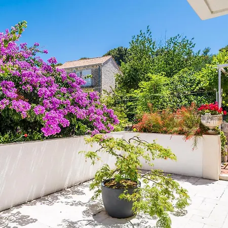 3 Bedroom Nice In Zaton Veliki זאטון